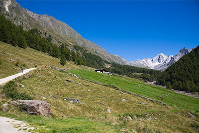Almen im Pfossental